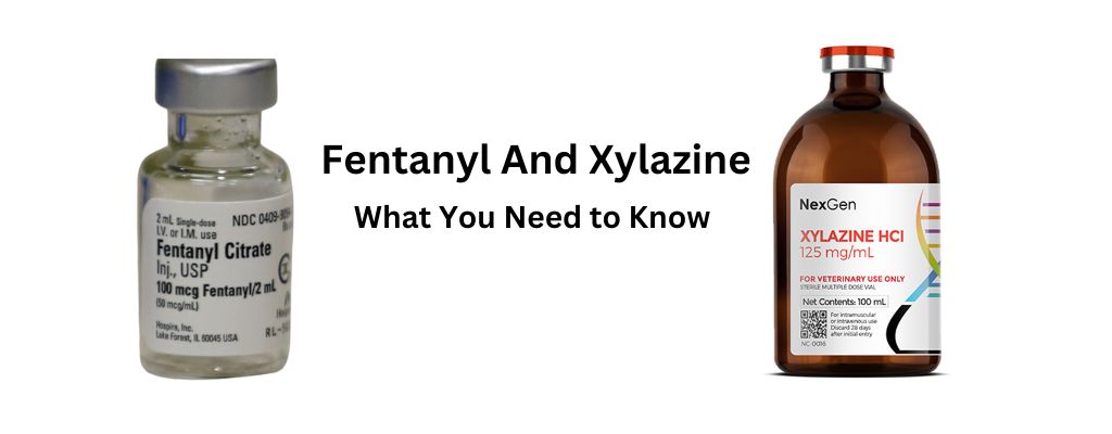 Fentanyl and Xylazine